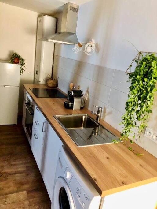 Appartement Au Coeur Du Centre Historique Bergerac Kültér fotó